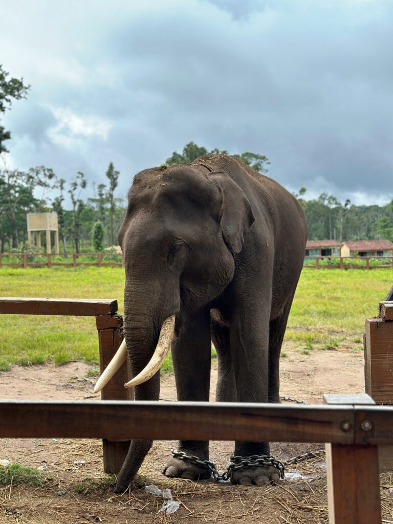 mugdha agrawal vsi9iisk oq unsplash